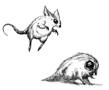 furry creatures.jpg (15727 bytes)