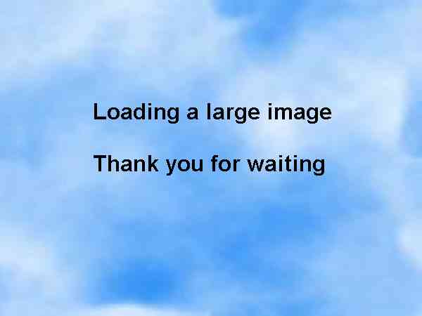 Waikoloa Realty Specializing in Kohala Coast Resort Properties